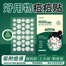 ENSEO�����N�[��ˮ�z�w�ڶ��N�A���沿���̓������͸��PE���x�N