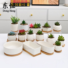 东恒多肉花盆陶瓷带托盘跨境小花盆白瓷白色简约长方形专用多肉盆