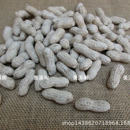 Purple sand bionic small peanut section mud peanut Yixing purple sand tea pet sculpture ornaments tea play decoration home decoration
