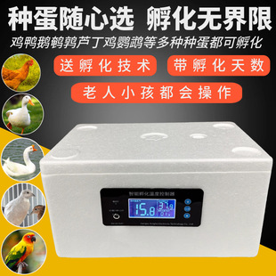 Intelligent Water Bed Incubator Egg Incubator Household Small Duck, Goose and Chick Automatic Constant Temperature Incubator Incubator