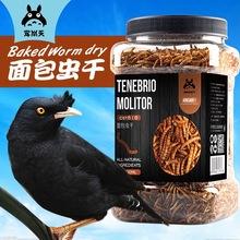 ����������x���Bʳ�˸箋ü���网�����B���F���������B����B�Z