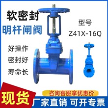 Z41X-16QīTFUܛܷlymoԁˮyT