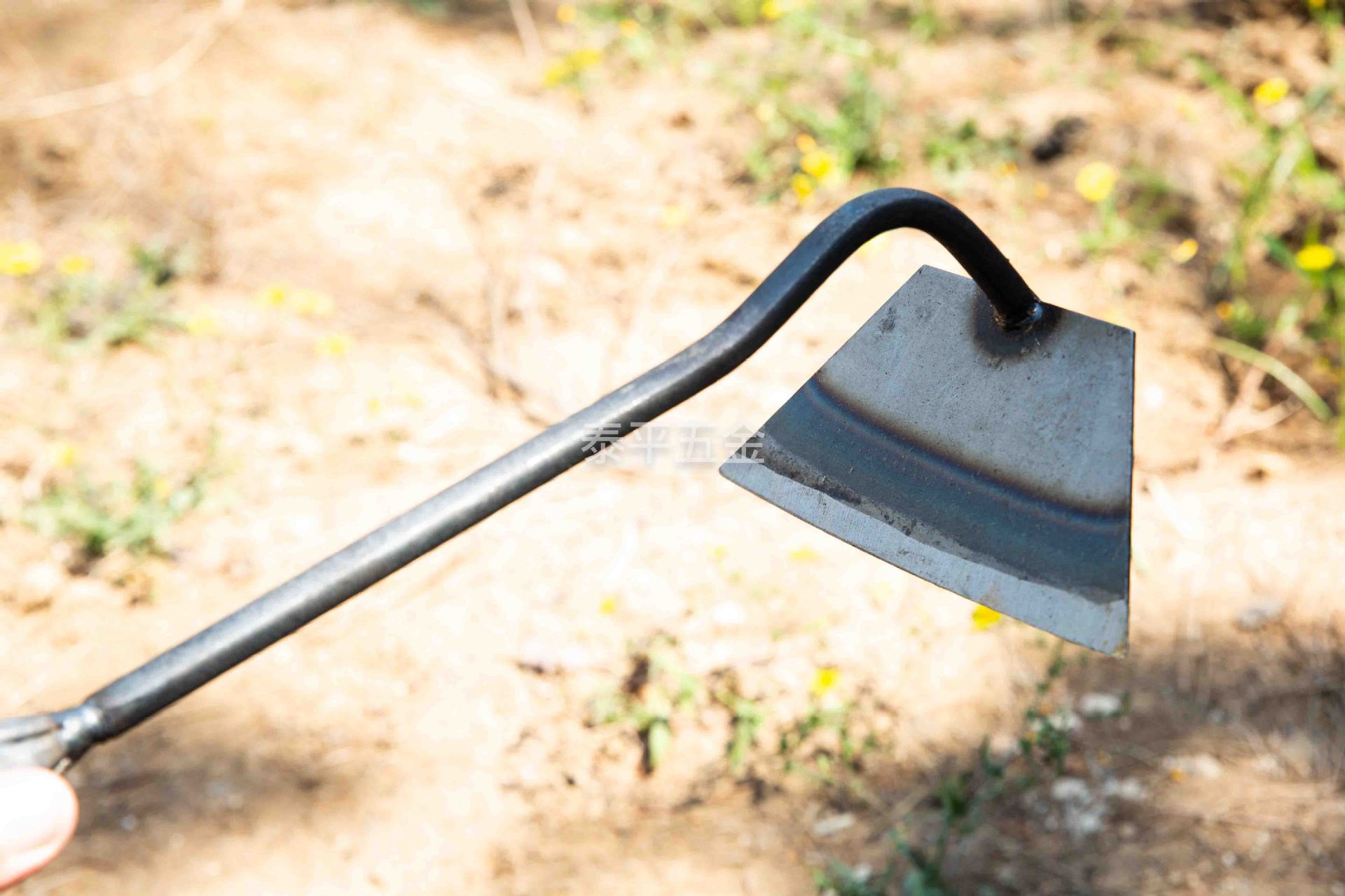 _S5A0099 拷贝_0014__S5A9900