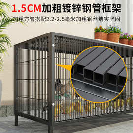 鸡笼子加粗大号家用养殖笼自动滚蛋折叠鸭笼狗笼鹅笼加固厂家直严