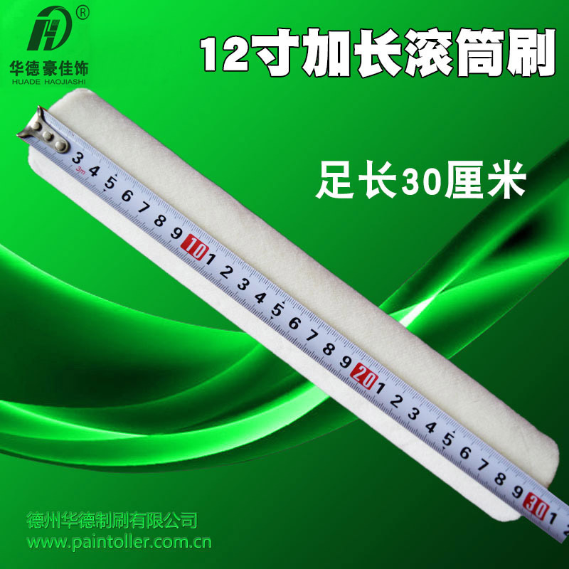 12Ͳˢ30׼ӳëˢǽͲϸëëë300mm