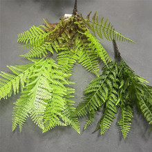 ᎧܛzGֲ澰^쾰 GɫާֲIާ~ާ ˹