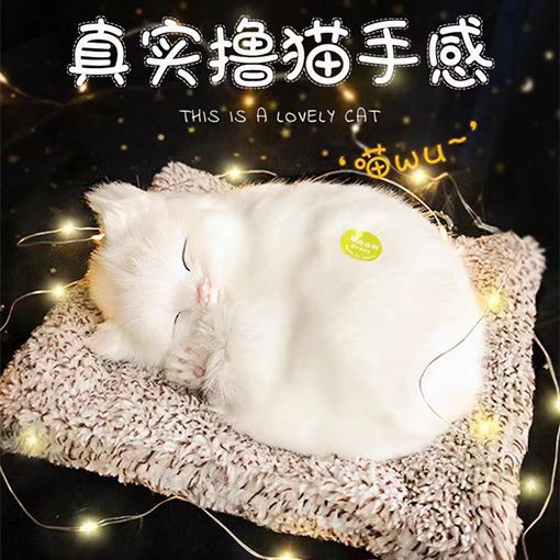 Regalos de Día de San Valentín, novia, novia, regalo de cumpleaños, muñecas de simulación de animales llamarán gatos.