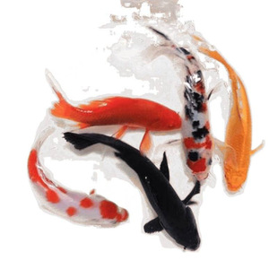 �\����ˮ���N���~���~�~����~��ˮ���l�^�p�~�ͻ���B�\���O��