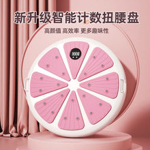 厂家直供高颜值计数磁石扭腰盘运动器材室内外健身器材塑形甩脂