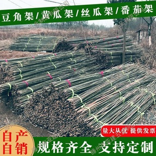 Bamboo Sticks and Poles for Garden Trellis, Climbing Frame for Beans, Cucumbers, Tomatoes, Fence, Flagpole, Bamboo Poles, Fruit Climbing Frame