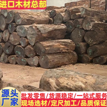 缅甸金丝楠木 非洲楠木 原木 水波纹黄金楠 四川小叶帧楠金丝楠木