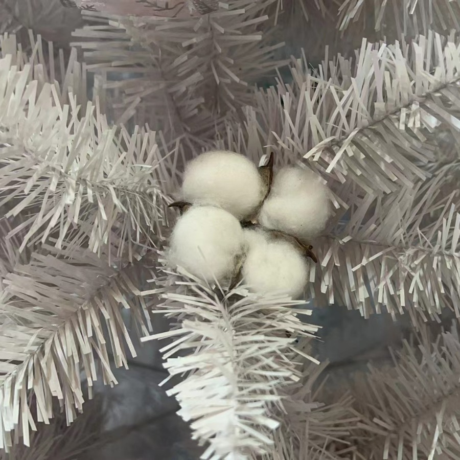 2024-06-06 18:47:05.jpg