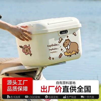 Tailg, Aima electric scooters – Electric car tail box