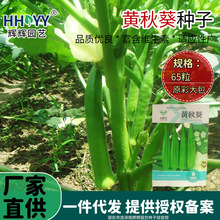 �F؛���l�S����N���ļ��׷N���������������G������ͷN��