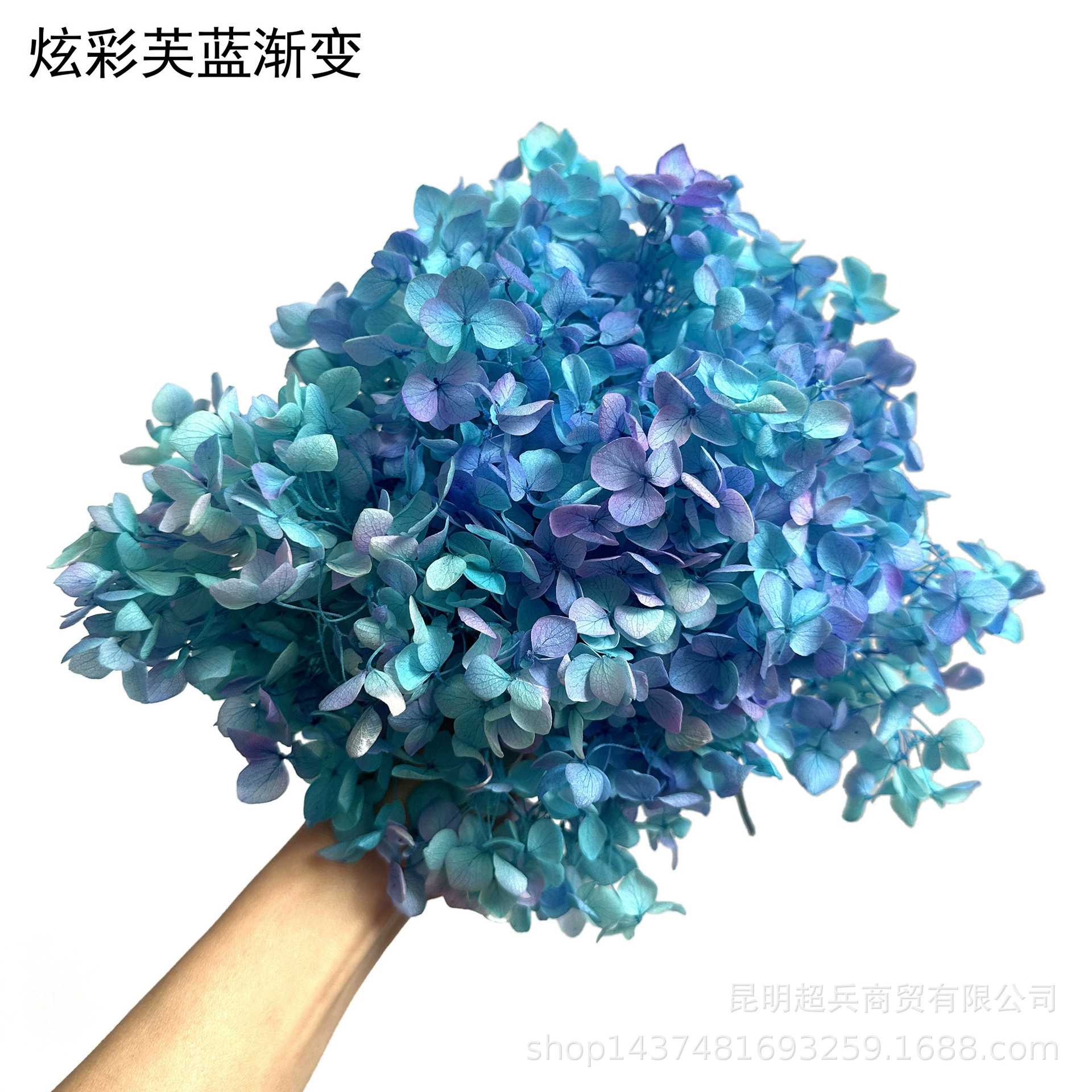[Вечная Life Flower Hydrangea] Анна Градиентный цвет Лист Hydramid Книга цветов оптом DIY цветочная коробка материал для просмотра