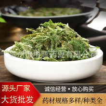 �~�Ȳ������������Q��ľ�\���g��������ѩѪҊ�����Ų�ƽ��ľ