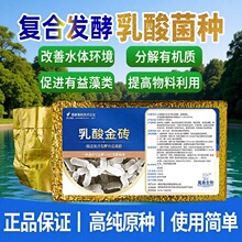�ͺ�������u����������׼S��l�̈́�һ�����lԭ���N��ˮ�a�Bֳ