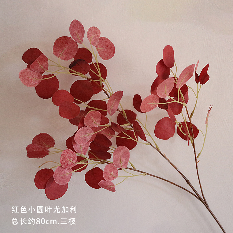 빨간색 작은 둥근 잎 유칼립투스