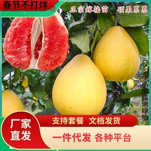 һ�����l���Ә��m�t�ļt�����ּ޽����t���ֹ�����m�Ϸ������Nֲ