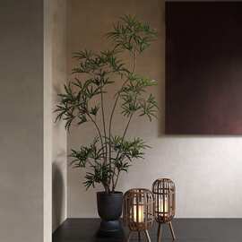 仿真绿植室内孔雀木仿生植物景观假树高端侘寂落地盆栽装饰摆件