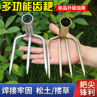 䓰Ҷ��X���Ӷ��X���X���X���s�������ټt���������ݼ���ץ�h����