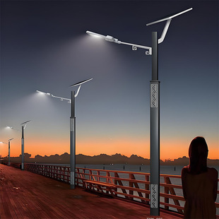 Ethnic Element Street Light Factory Direct Supply Led Single/Double Arm Pattern Solar Street Light 6m Antique Plum Birch Lighting