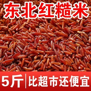 �|���t������3/5�� ����s�Z�Եļt�׾��׼t���׼tѪ�����׼t����