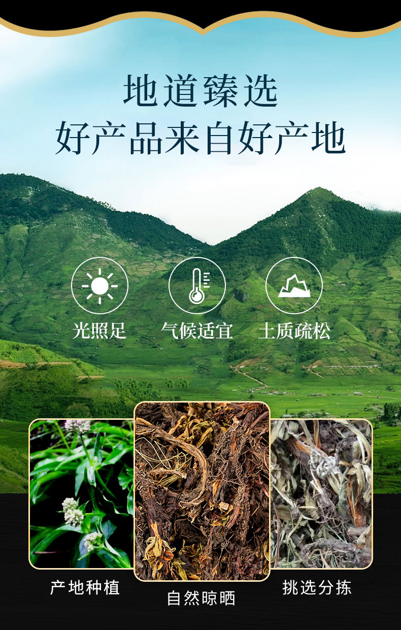 Gan Song Root (Nardostachys jatamansi) — Dried Food Herb for Tea, Congee & Soup overview