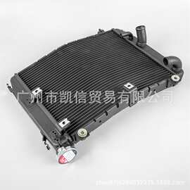 适用阿普利亚Aprilia RS660 20+改装摩托车保护水箱总成 散热器