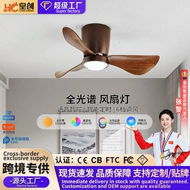 风扇灯;吸顶灯;智能家居