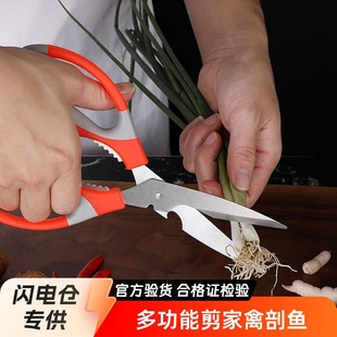 Kitchen Scissors Household Special Strong Chicken Bone Scissors Multi-function Bone Stainless Steel Food Scissors