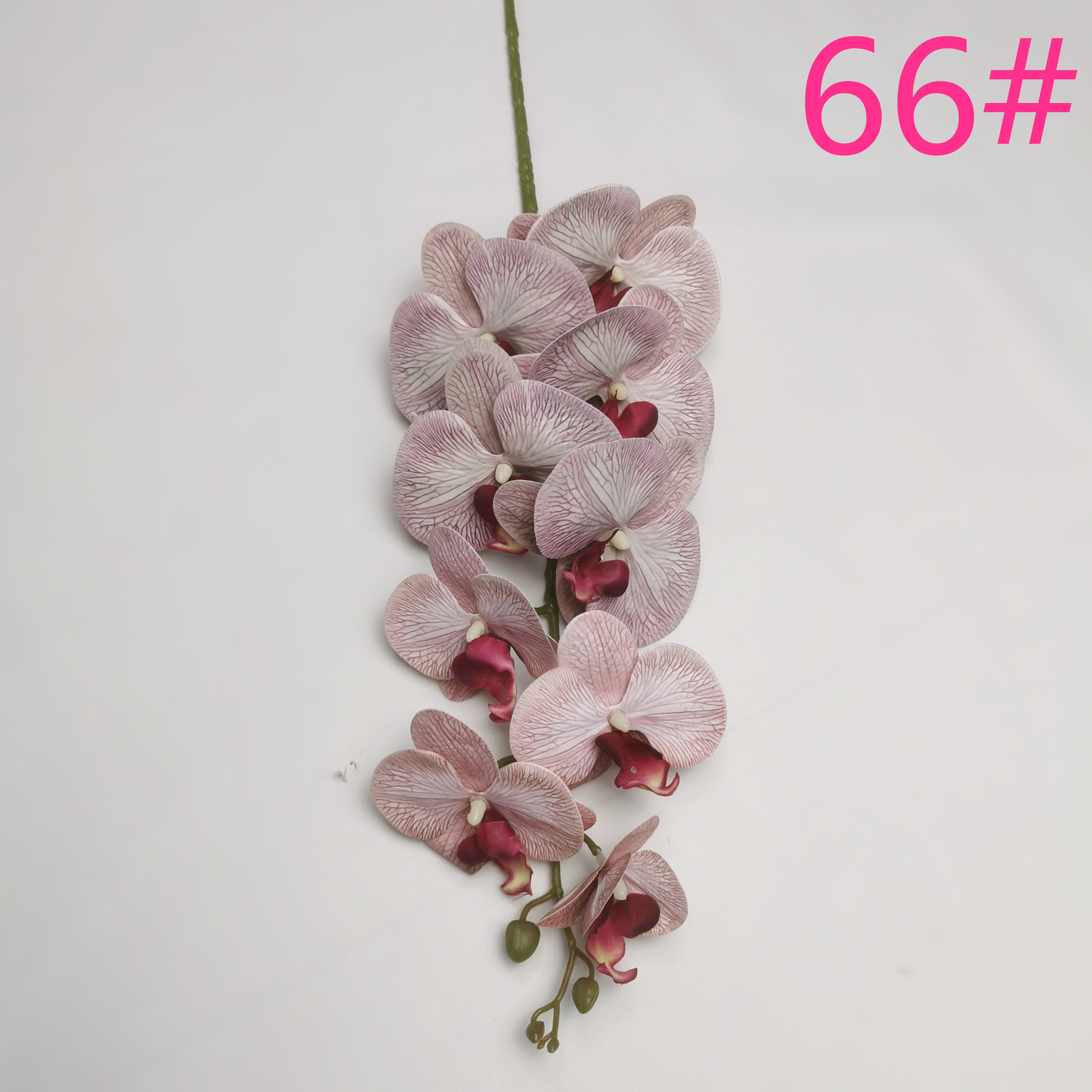 IMG_20220607_182534_副本