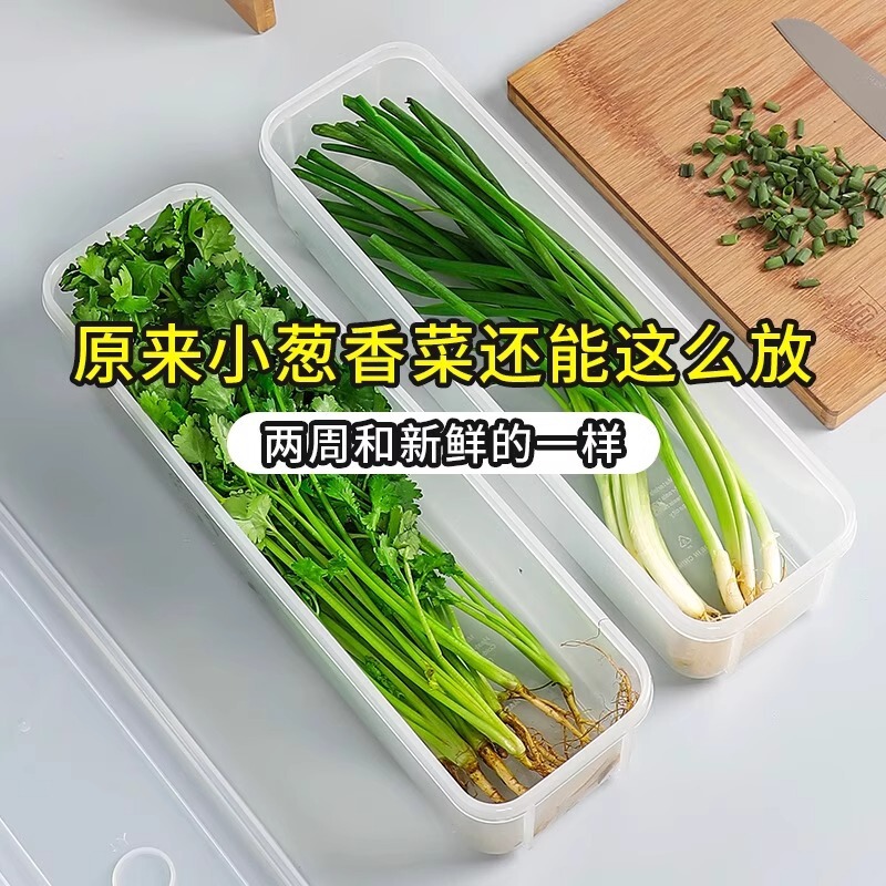 食品グレードのネギ、コリアンダー、コリアンダー、生姜、ニンニク、乾麺、卵保存および整理ボックス、冷蔵庫専用|undefined