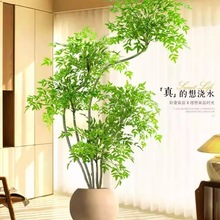 ����Gֲ�������ֲ��߶��p�ݿ͏d�b��҃ȴ���������ؔ[��