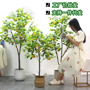 晎ʘ䱱WLʘؔ[SֱNֲʘ