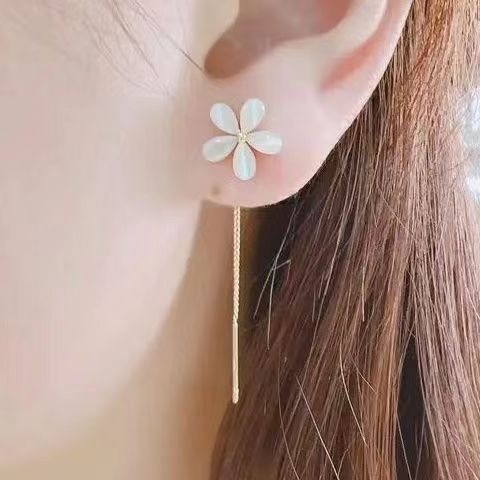 730b6ca69cfd83bbbeb36426adcd55