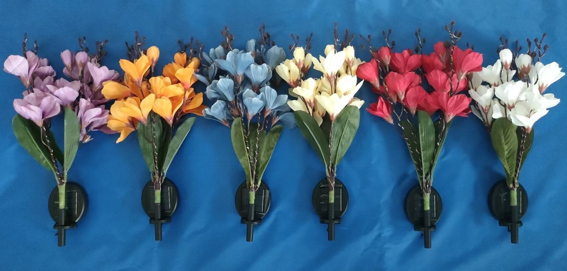 Lámpara solar transfronteriza