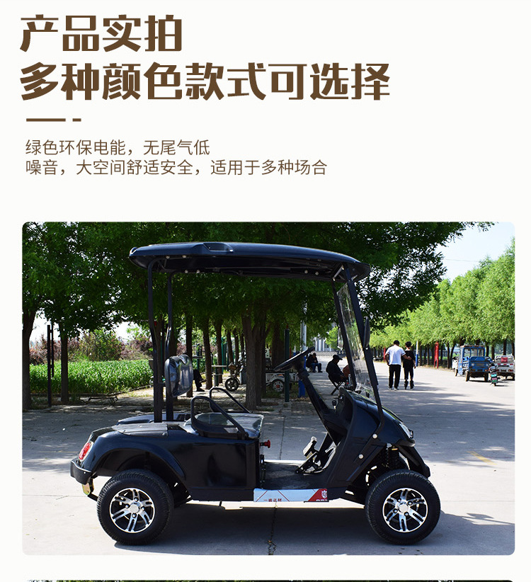 Golf Cart Tourist Attractions Tourist Hotel Shutter 2-seat Homestay Self-driving Ferry Electric Sightseeing Car