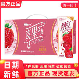 4月蒙牛真果粒草莓牛奶饮品250g×12盒送礼盒整箱批营养早餐