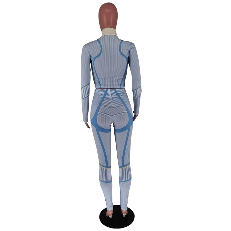 315g Weight Long Sleeve Sleeve Length Spandex, Polyester Fabric Type Pant Co-ord Set Sets Type 2 Pieces Set Quantity Sports Occasion Standing Collar Neckline Sports Function Skinny Fit Type Geometric Pattern Autumn Season Women's Gender Sports Style Sports Women's Sports Geometric Spandex Polyester Pant Co-ord Set Pants Sets 30