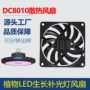 微型散热植物直流风扇