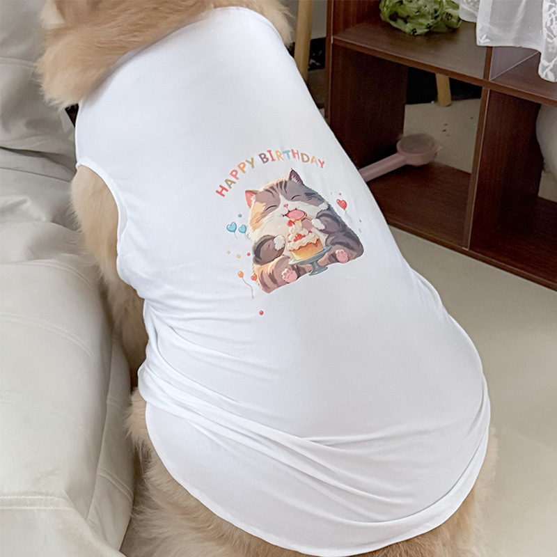 흰색 조끼 생일 시리즈 작은 회색 고양이