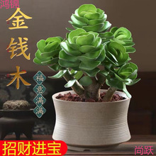 ���Xľ���԰lؔ���Ϙ�����ֲ��С���X���k���҃Ⱥ��B��ؔ�Gֲ����