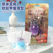 变色甲虫仿真模型玩具 软胶生物动物模型塑胶地摊益智玩具