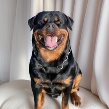 ���N��ϵ�_���{��Ȯ������w����������Ȯ����Ȯ�o�lȮ����Ȯ����