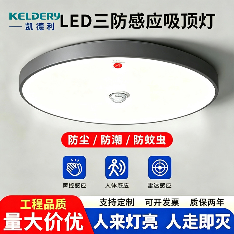 Led Three-Proof Ceiling Light with Radar Sound Control and Human Motion Sensor That Lights up When Someone Approaches, Suitable for Corridors, Hallways, Balconies, and Property Spaces Led Three-Proof Ceiling Light with Radar Sound Control and Human Motion Sensor That Lights up When Someone Approaches, Suitable for Corridors, Hallways, Balconies, and Property Spaces