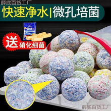 ~^V^Vմɭh{~ރˮʯVl