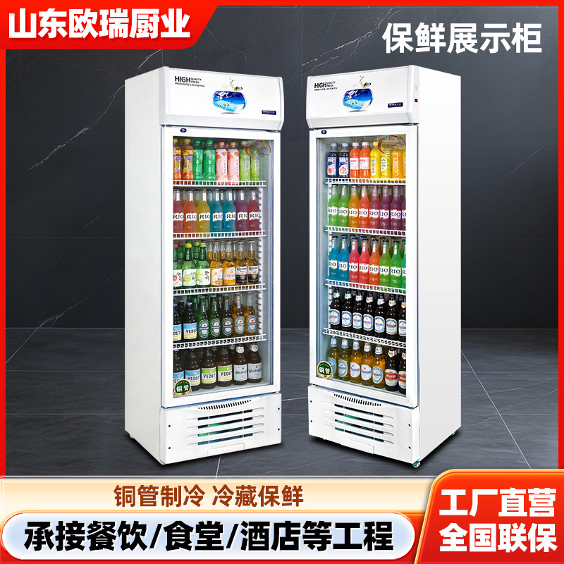 Single-Door Refrigerated Display Cabinet, Glass-Door Display Cabinet, Beverage Refrigerated Display Cabinet, Vertical Stainless Steel Freezer Single-Door Refrigerated Display Cabinet, Glass-Door Display Cabinet, Beverage Refrigerated Display Cabinet, Vertical Stainless Steel Freezer