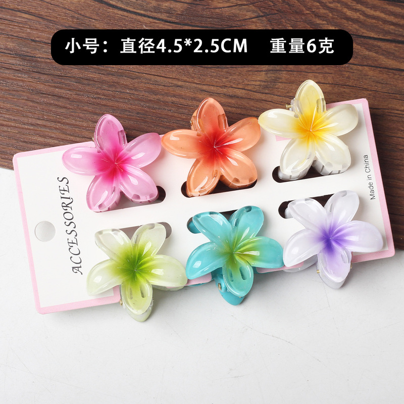 新商品のかわいい六点セットの卵の花の夏のリゾート風はビーチの海辺のカードの後頭部を挟みます。|undefined