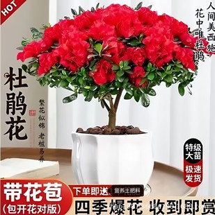 ���N���Ϙ����玧���������҃����ļ��_���ͺ��������ܾGֲ�^��